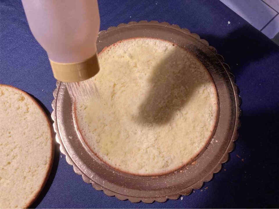 bagnatura pan di spagna